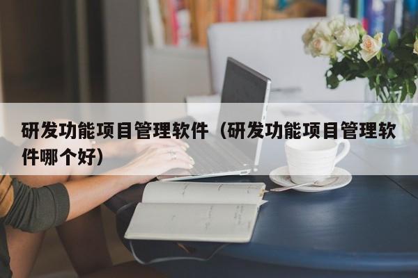 研发功能项目管理软件（研发功能项目管理软件哪个好）