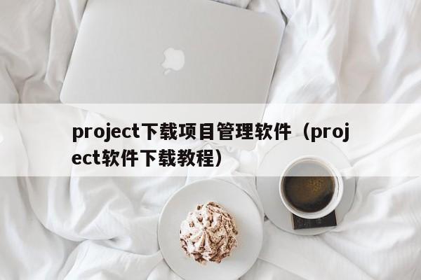 project下载项目管理软件（project软件下载教程）