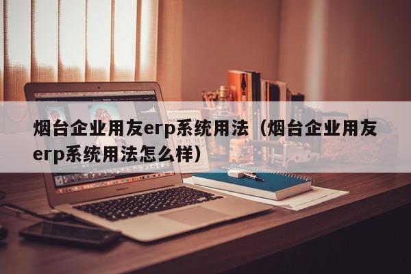 烟台企业用友erp系统用法（烟台企业用友erp系统用法怎么样）