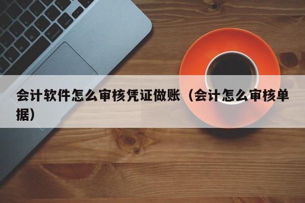 会计软件怎么审核凭证做账（会计怎么审核单据）