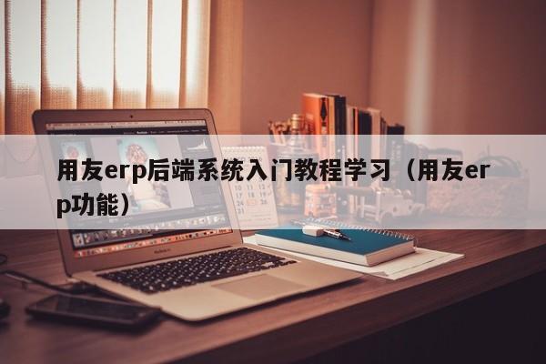 用友erp后端系统入门教程学习（用友erp功能）