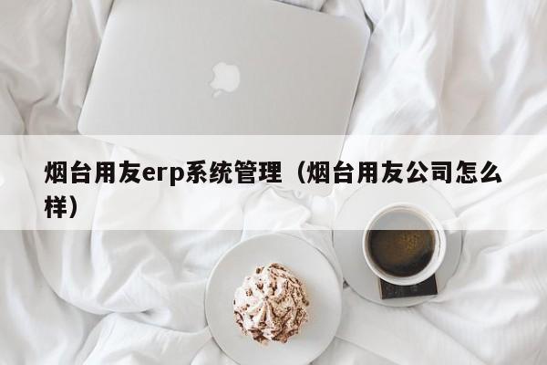 烟台用友erp系统管理（烟台用友公司怎么样）