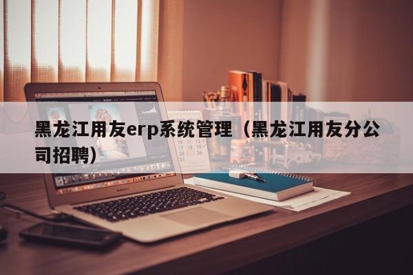 黑龙江用友erp系统管理（黑龙江用友分公司招聘）