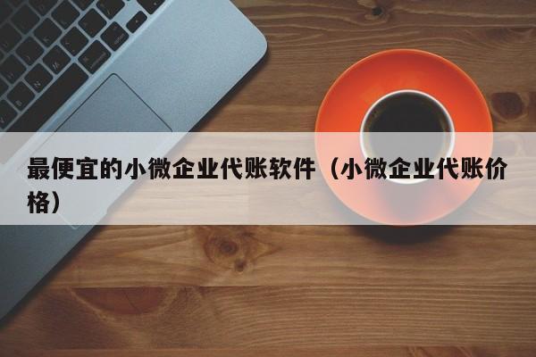 最便宜的小微企业代账软件（小微企业代账价格）