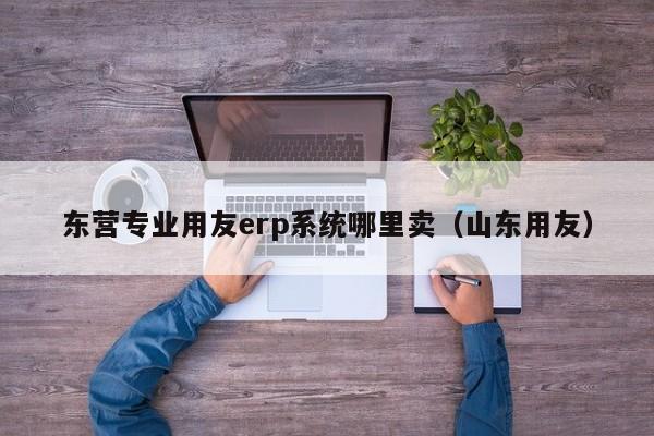 东营专业用友erp系统哪里卖（山东用友）