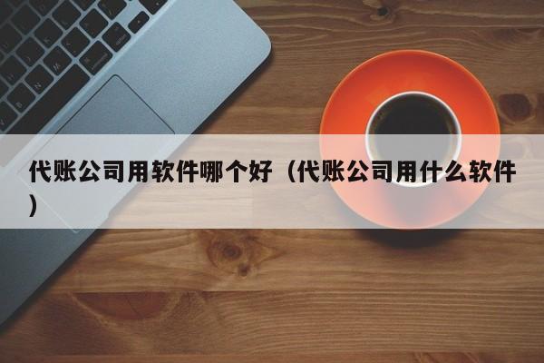 代账公司用软件哪个好（代账公司用什么软件）