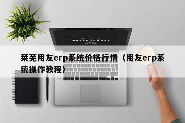 莱芜用友erp系统价格行情（用友erp系统操作教程）