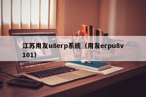 江苏用友u8erp系统（用友erpu8v101）