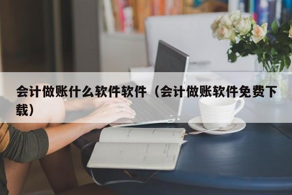 会计做账什么软件软件（会计做账软件免费下载）