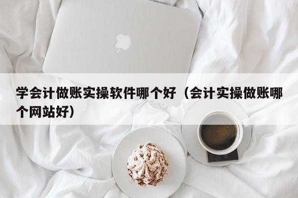 学会计做账实操软件哪个好（会计实操做账哪个网站好）