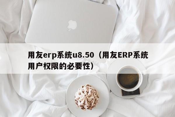 用友erp系统u8.50（用友ERP系统用户权限的必要性）