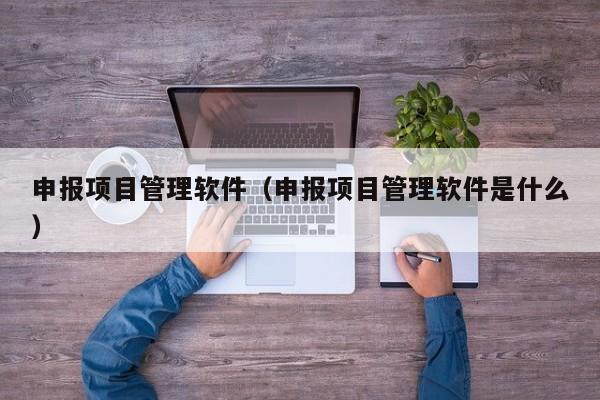 申报项目管理软件（申报项目管理软件是什么）