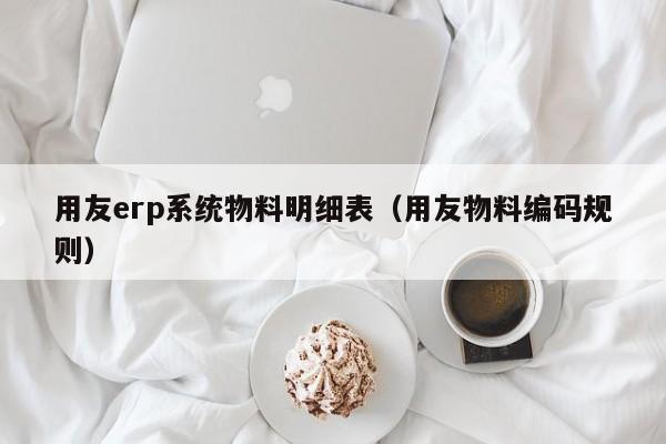 用友erp系统物料明细表（用友物料编码规则）