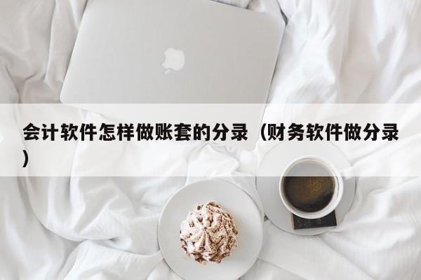 会计软件怎样做账套的分录（财务软件做分录）