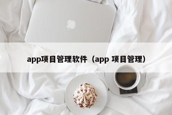 app项目管理软件（app 项目管理）