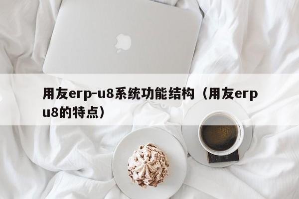 用友erp-u8系统功能结构（用友erpu8的特点）