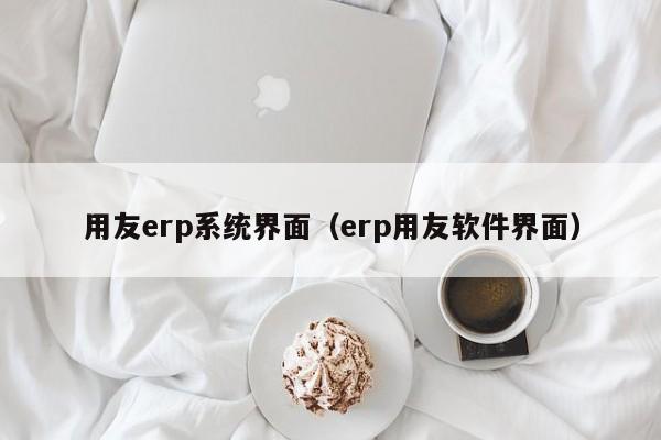 用友erp系统界面（erp用友软件界面）