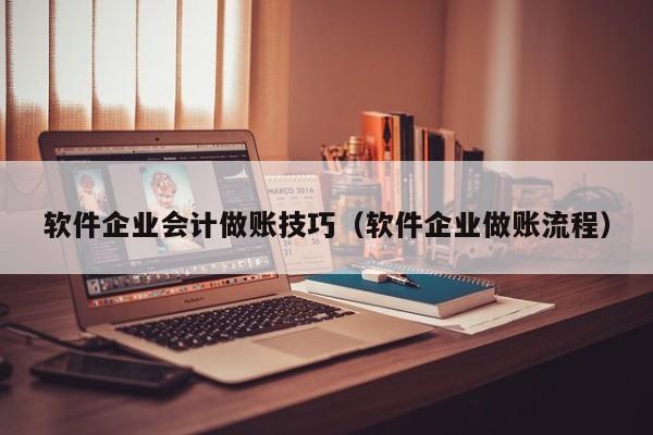 软件企业会计做账技巧（软件企业做账流程）