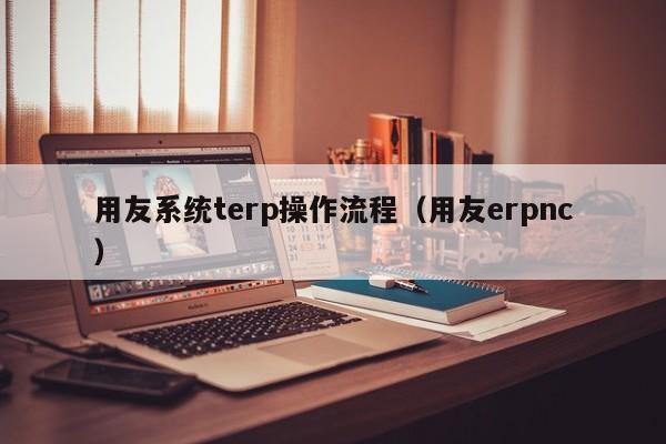 用友系统terp操作流程（用友erpnc）