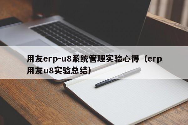 用友erp-u8系统管理实验心得（erp用友u8实验总结）