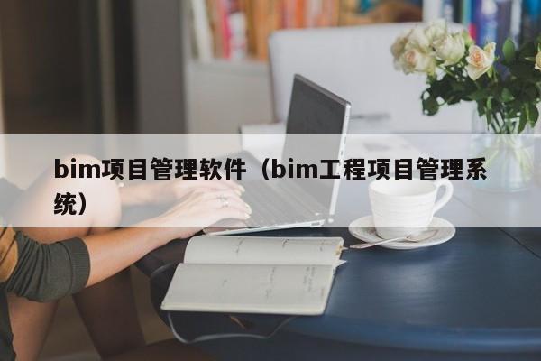 bim项目管理软件（bim工程项目管理系统）