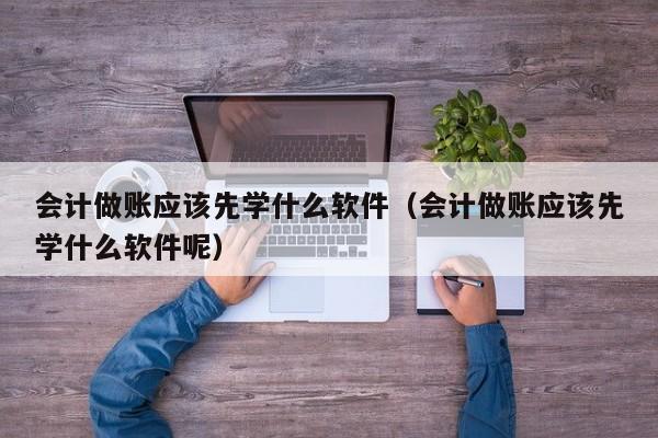 会计做账应该先学什么软件（会计做账应该先学什么软件呢）