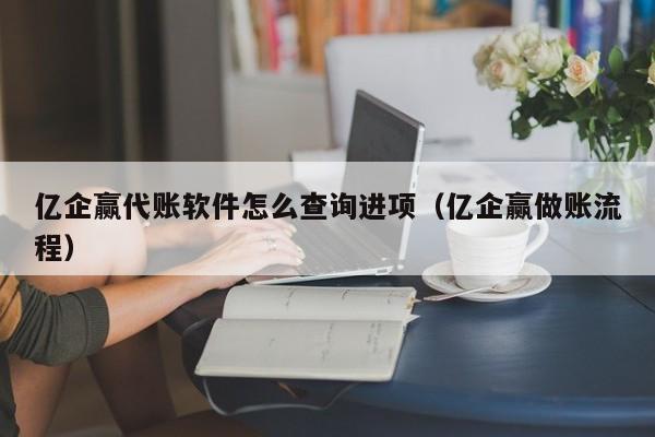 亿企赢代账软件怎么查询进项（亿企赢做账流程）