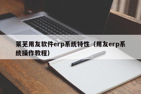 莱芜用友软件erp系统特性（用友erp系统操作教程）