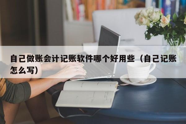 自己做账会计记账软件哪个好用些（自己记账怎么写）