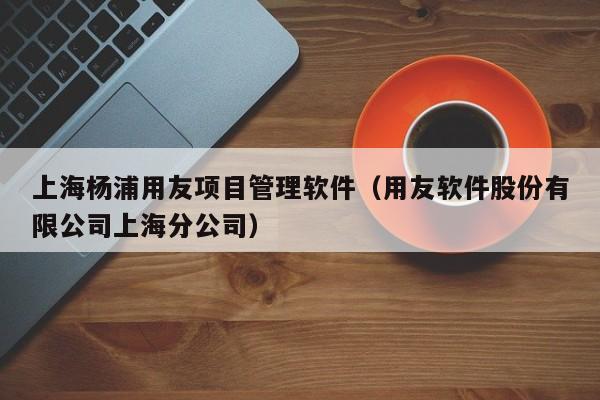 上海杨浦用友项目管理软件（用友软件股份有限公司上海分公司）