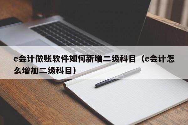 e会计做账软件如何新增二级科目（e会计怎么增加二级科目）