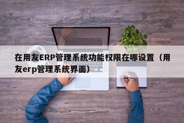 在用友ERP管理系统功能权限在哪设置（用友erp管理系统界面）