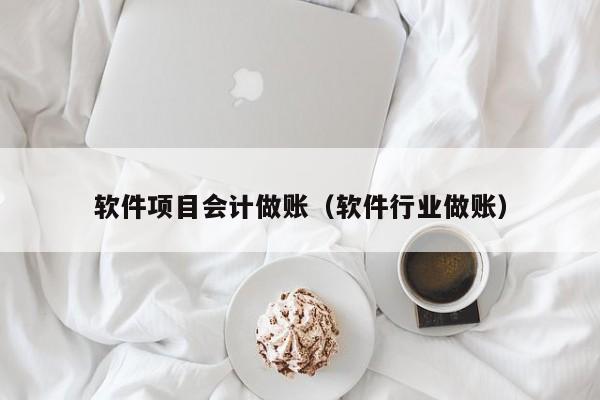 软件项目会计做账（软件行业做账）