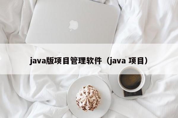 java版项目管理软件（java 项目）