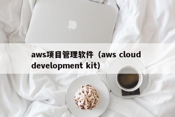 aws项目管理软件（aws cloud development kit）