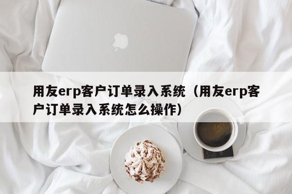 用友erp客户订单录入系统（用友erp客户订单录入系统怎么操作）