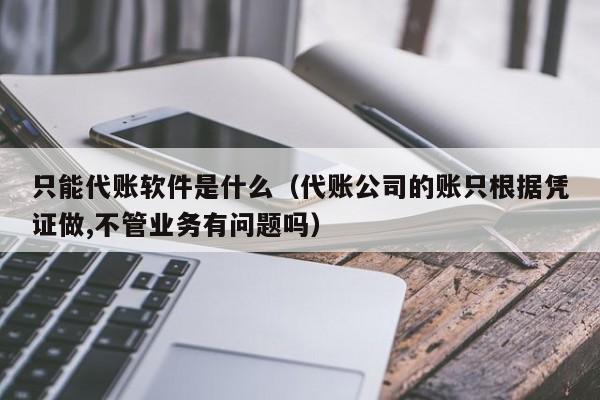 只能代账软件是什么（代账公司的账只根据凭证做,不管业务有问题吗）