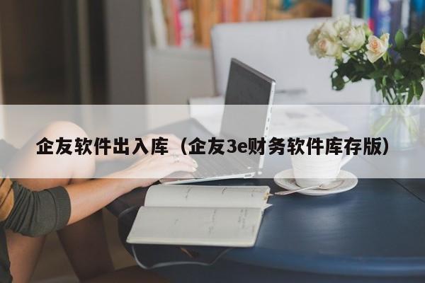 企友软件出入库（企友3e财务软件库存版）