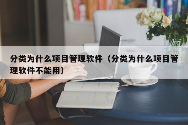 分类为什么项目管理软件（分类为什么项目管理软件不能用）