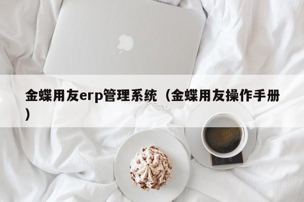 金蝶用友erp管理系统（金蝶用友操作手册）