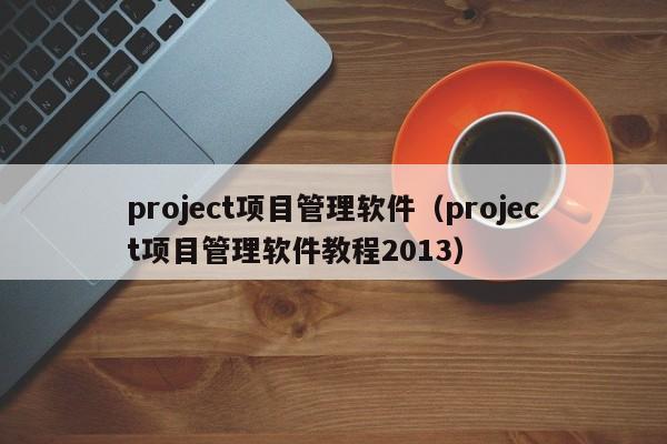 project项目管理软件（project项目管理软件教程2013）