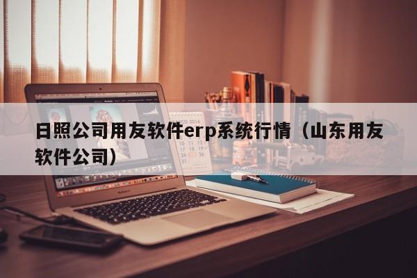 日照公司用友软件erp系统行情（山东用友软件公司）