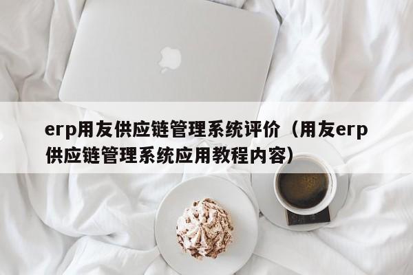 erp用友供应链管理系统评价（用友erp供应链管理系统应用教程内容）