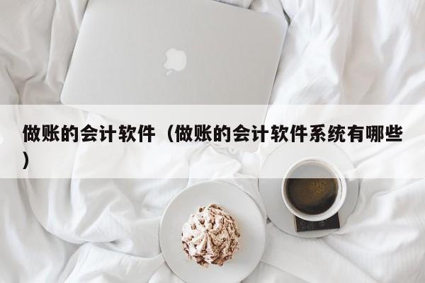 做账的会计软件（做账的会计软件系统有哪些）