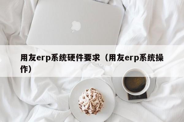 用友erp系统硬件要求（用友erp系统操作）