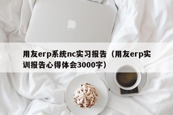 用友erp系统nc实习报告（用友erp实训报告心得体会3000字）