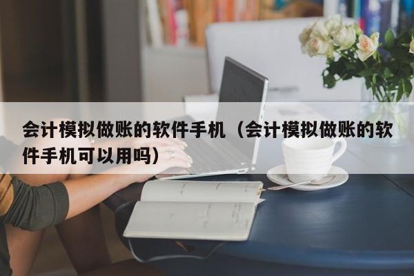 会计模拟做账的软件手机（会计模拟做账的软件手机可以用吗）