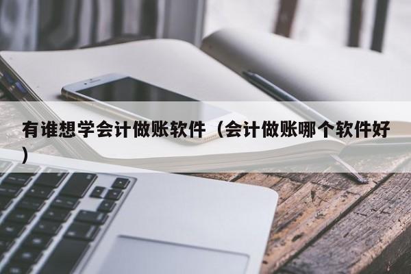 有谁想学会计做账软件（会计做账哪个软件好）